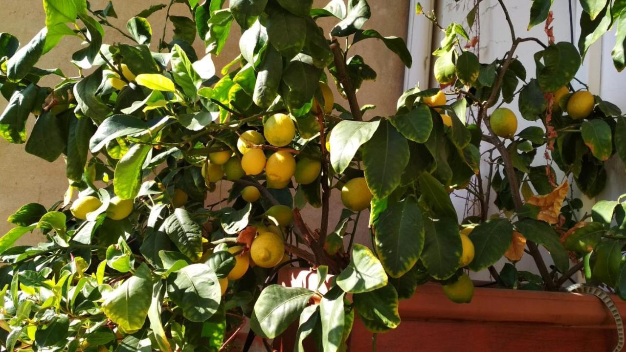 La Casa Dei Fiori Florencia