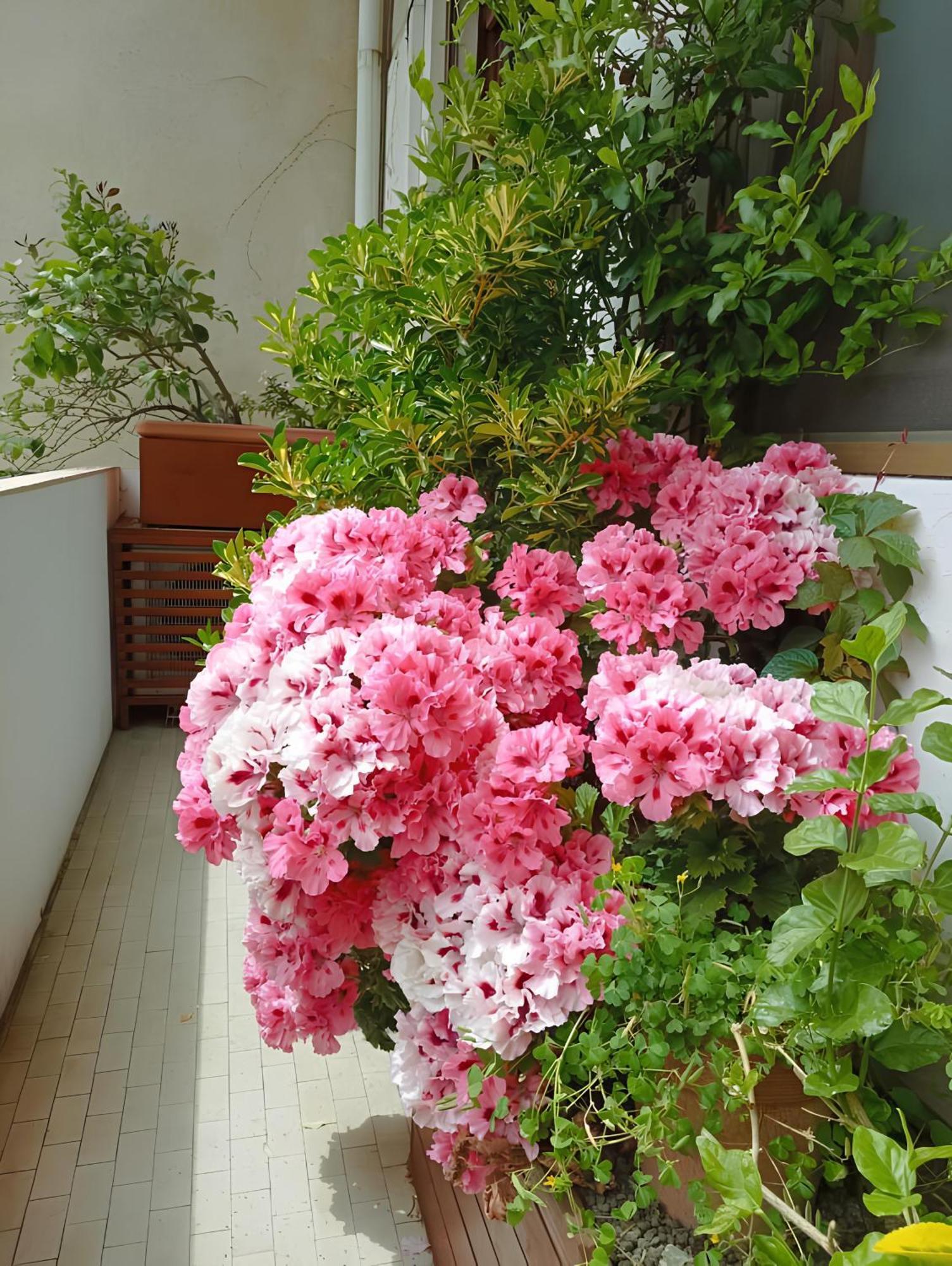 Apartamento La Casa Dei Fiori Florencia